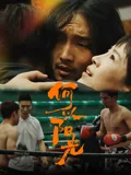 何以阳光